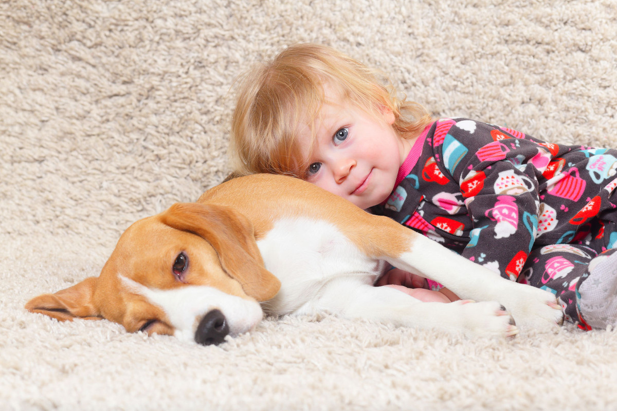 Bambini Con Animali Domestici. Bambino Abbraccia Animale, Bambino Ama Bambini Con Animali Domestici. Bambino Abbraccia Animale, Bambino Ama